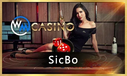 Live Casino Guide